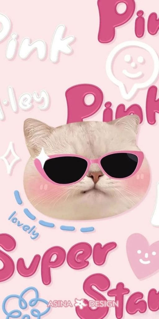 Cat in pink glasses