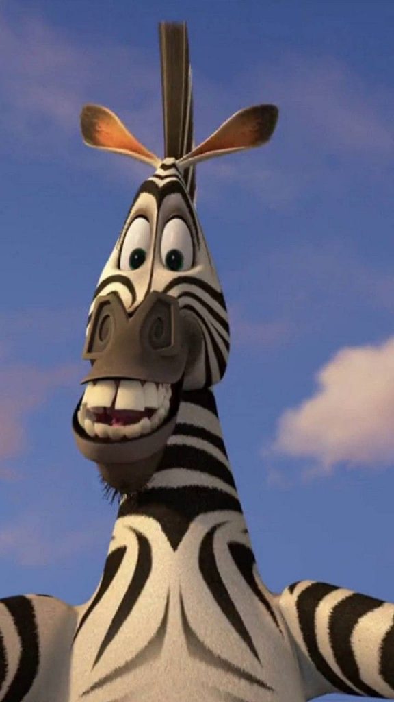 Zebra from Madagascar