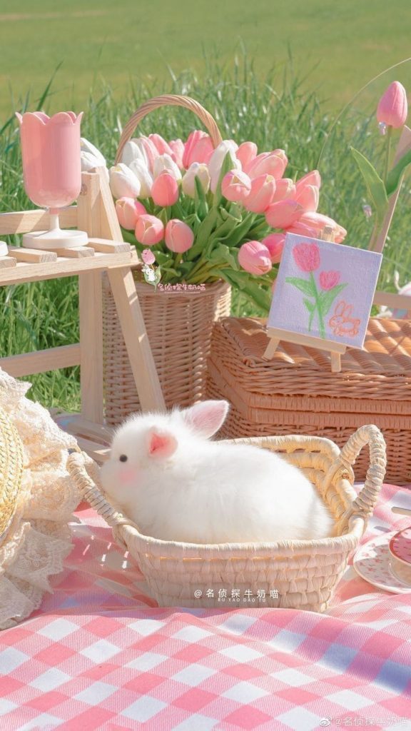 Easter bunny, tulips, spring, picnic