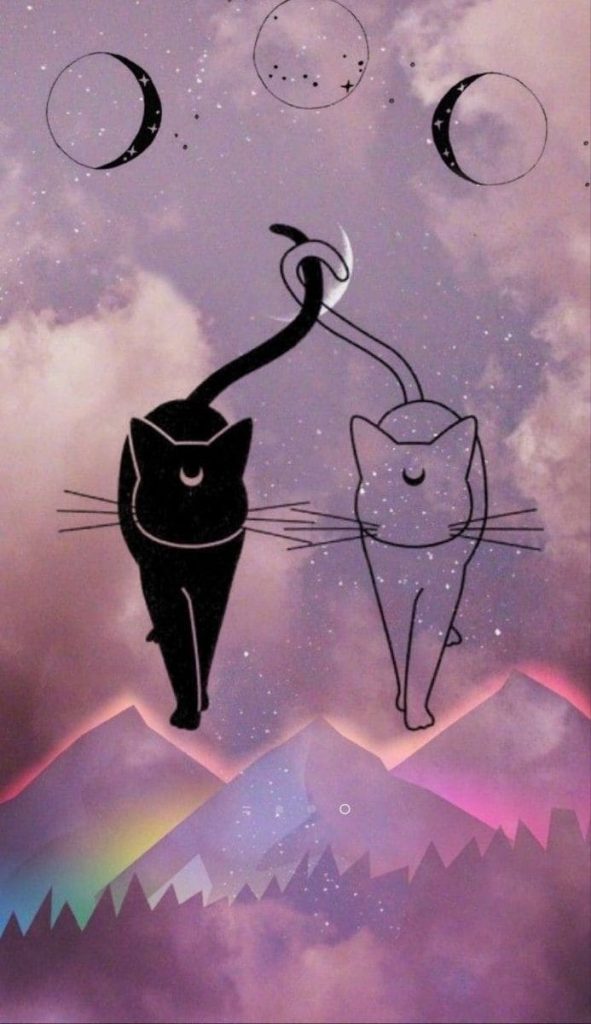 Cats from Sailour Moon