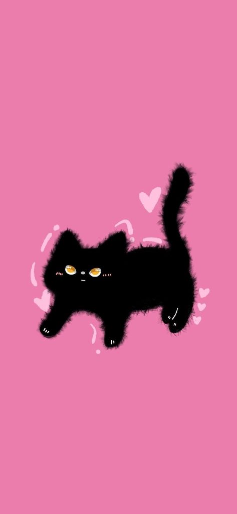 Black cat on a pink background