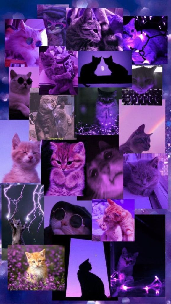 Aesthetics wallpaper with kittens