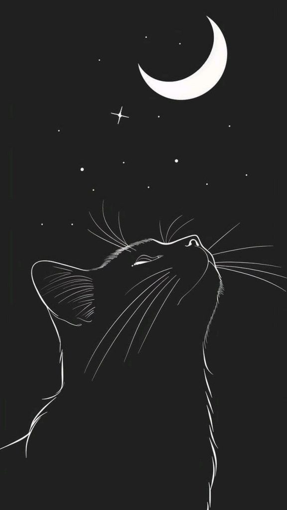 Black cat and the moon