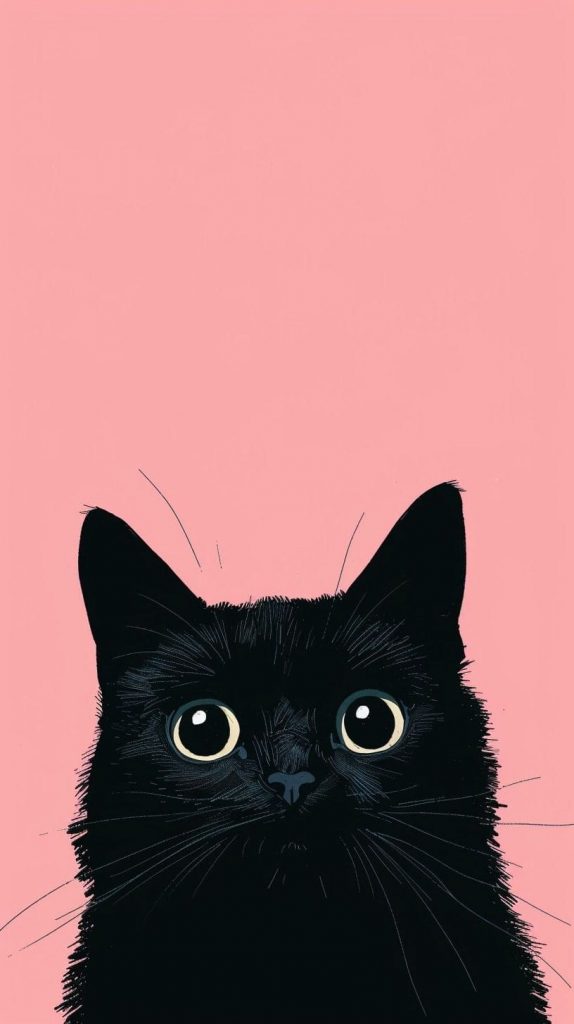 Black cat