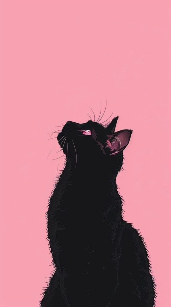 Black cat on pink background minimalism