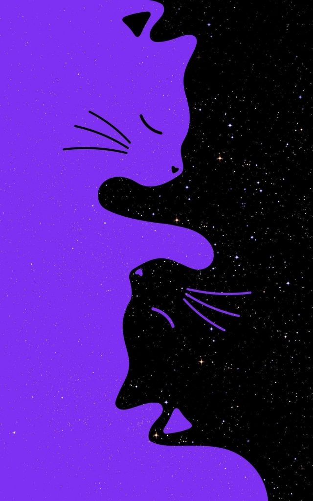 Black cat on purple background