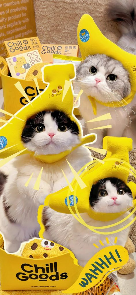 Banana kitty